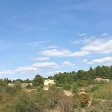 Tatil Evi Entre Dunes Et Pins