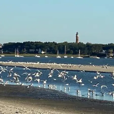 Tatil Evi Entre Dunes Et Pins Merlimont