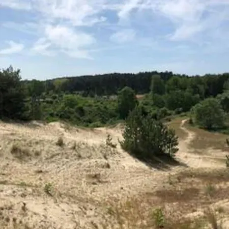 Entre Dunes Et Pins * Merlimont