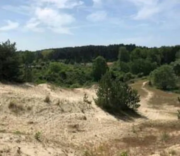 Entre Dunes Et Pins * Merlimont
